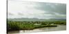 Birds taking flight along bank of Kaladan River, Rakhine State, Myanmar-null-Stretched Canvas