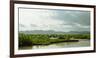 Birds taking flight along bank of Kaladan River, Rakhine State, Myanmar-null-Framed Photographic Print