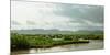 Birds taking flight along bank of Kaladan River, Rakhine State, Myanmar-null-Mounted Photographic Print