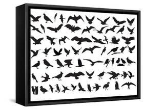 Birds Vector-ktinte-Framed Stretched Canvas