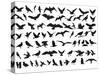 Birds Vector-ktinte-Stretched Canvas