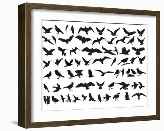 Birds Vector-ktinte-Framed Art Print