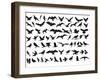 Birds Vector-ktinte-Framed Art Print