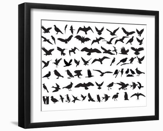 Birds Vector-ktinte-Framed Art Print