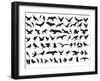 Birds Vector-ktinte-Framed Art Print