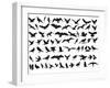 Birds Vector-ktinte-Framed Art Print