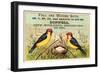Birds Watching Nest-null-Framed Art Print