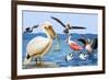 Birds with Strange Beaks-R. B. Davis-Framed Giclee Print