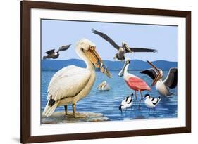 Birds with Strange Beaks-R. B. Davis-Framed Giclee Print