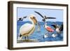 Birds with Strange Beaks-R. B. Davis-Framed Giclee Print