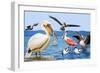 Birds with Strange Beaks-R. B. Davis-Framed Giclee Print