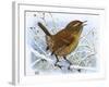 Birds, Wren-Robert Gillmor-Framed Photographic Print