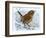 Birds, Wren-Robert Gillmor-Framed Photographic Print