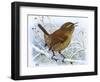 Birds, Wren-Robert Gillmor-Framed Photographic Print