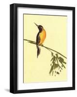 Birds-Aurore De La Morinerie-Framed Art Print