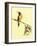 Birds-Aurore De La Morinerie-Framed Art Print