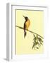 Birds-Aurore De La Morinerie-Framed Art Print
