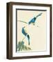 Birds-Aurore De La Morinerie-Framed Art Print