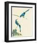 Birds-Aurore De La Morinerie-Framed Art Print