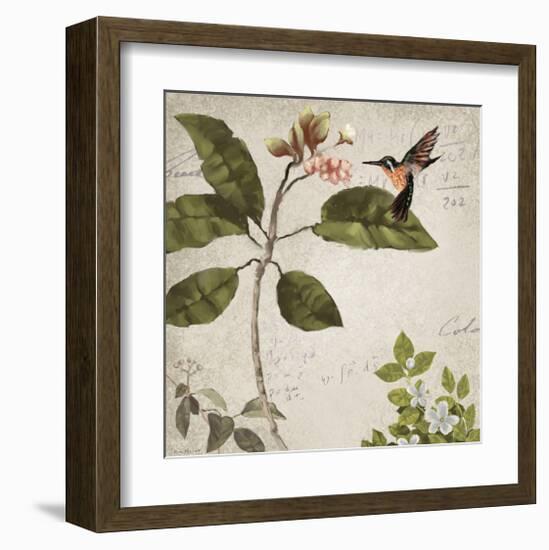 Birds-Rick Novak-Framed Art Print