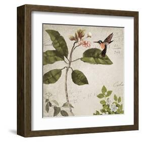 Birds-Rick Novak-Framed Art Print