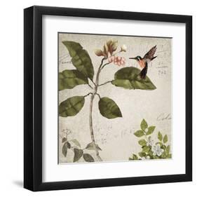 Birds-Rick Novak-Framed Art Print