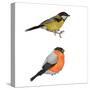 Birds-foxy_bi-Stretched Canvas