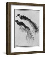 Birds-Rembrandt van Rijn-Framed Giclee Print