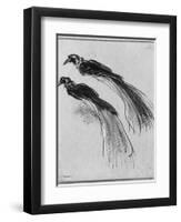 Birds-Rembrandt van Rijn-Framed Giclee Print