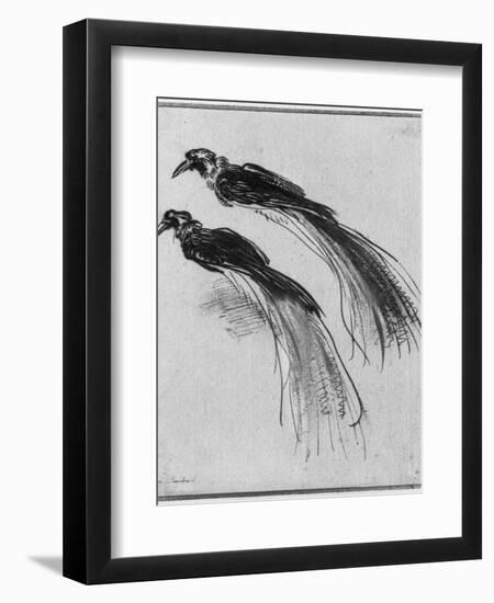 Birds-Rembrandt van Rijn-Framed Giclee Print