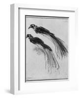 Birds-Rembrandt van Rijn-Framed Giclee Print