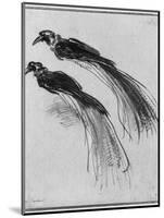 Birds-Rembrandt van Rijn-Mounted Giclee Print