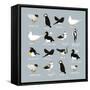 Birds-Hanna Melin-Framed Stretched Canvas