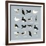 Birds-Hanna Melin-Framed Giclee Print