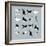 Birds-Hanna Melin-Framed Giclee Print