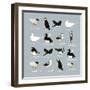 Birds-Hanna Melin-Framed Giclee Print