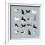 Birds-Hanna Melin-Framed Giclee Print