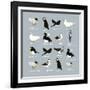 Birds-Hanna Melin-Framed Giclee Print