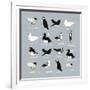 Birds-Hanna Melin-Framed Giclee Print