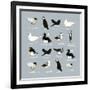 Birds-Hanna Melin-Framed Giclee Print