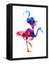 Birds-Jensen Adamsen-Framed Stretched Canvas