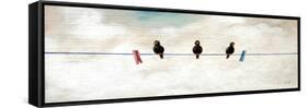 Birds-Chris Ross Williamson-Framed Stretched Canvas