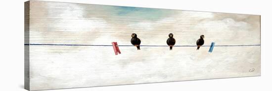 Birds-Chris Ross Williamson-Stretched Canvas