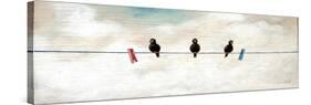 Birds-Chris Ross Williamson-Stretched Canvas