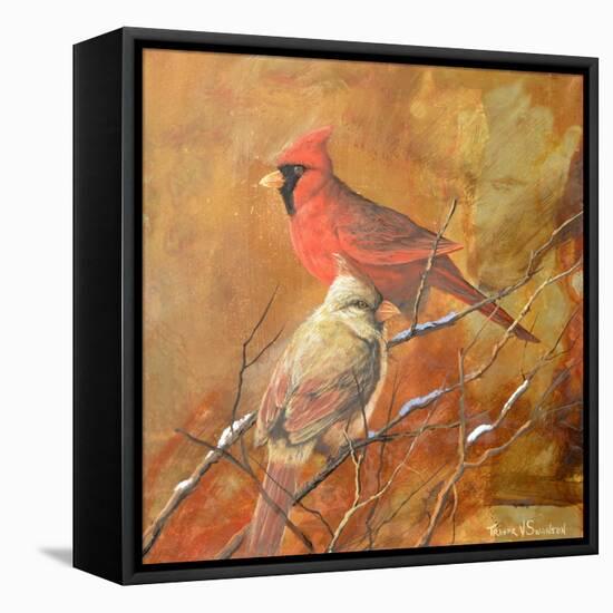 Birds-Trevor V. Swanson-Framed Stretched Canvas