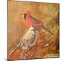 Birds-Trevor V. Swanson-Mounted Giclee Print