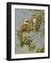 Birds-Michael Jackson-Framed Giclee Print