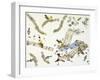 Birds-null-Framed Giclee Print