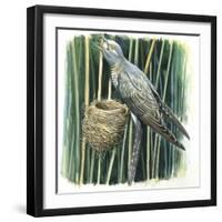 Birds-null-Framed Giclee Print