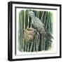 Birds-null-Framed Giclee Print